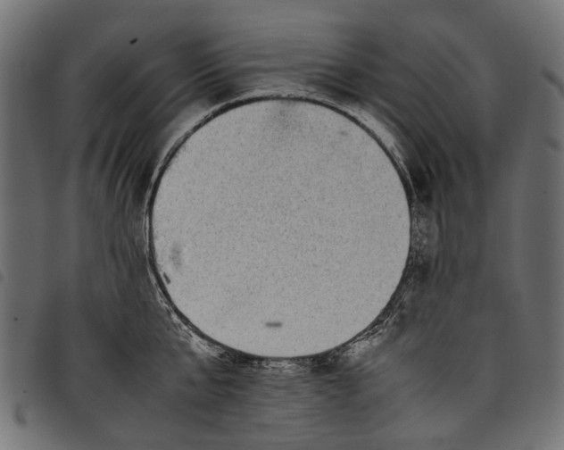 X0000097820807200803281120