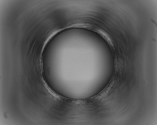 X0000097820808200803281120