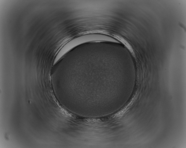 X0000097820809200803281120