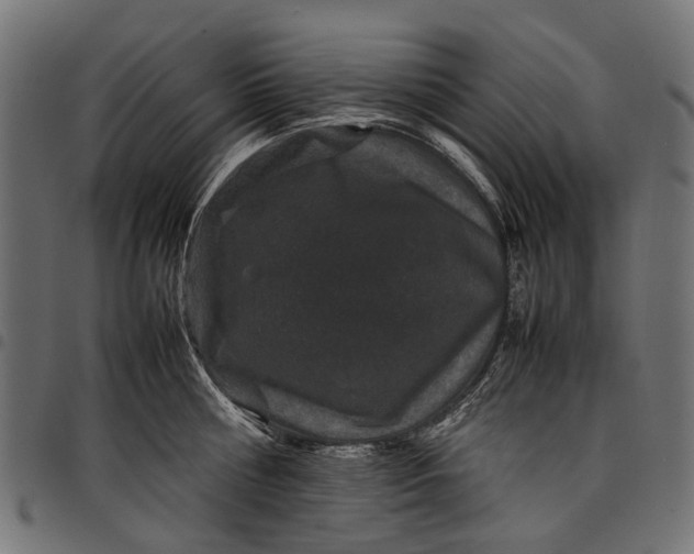 X0000097820810200803281120