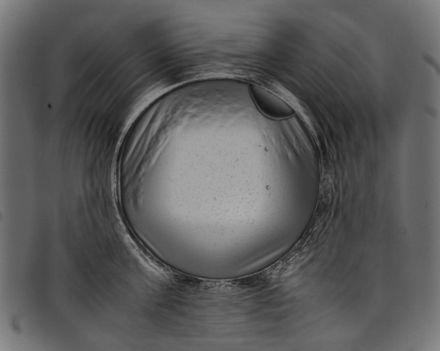 X0000097820811200803281120