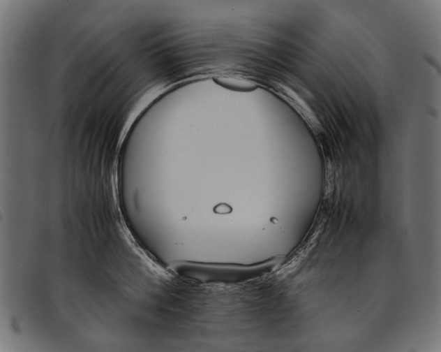 X0000097820812200803281120