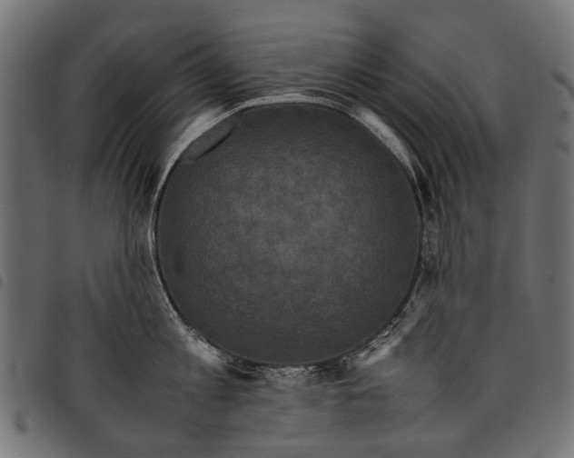 X0000097820813200803281120