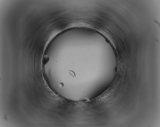 X0000097820815200803281120