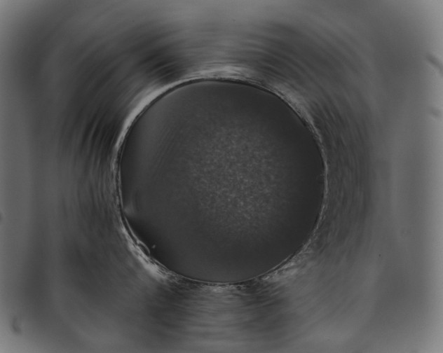 X0000097820816200803281120