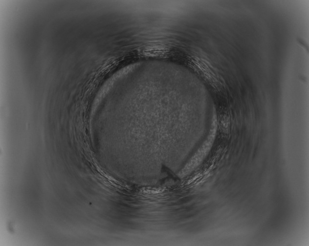 X0000097820817200803281119