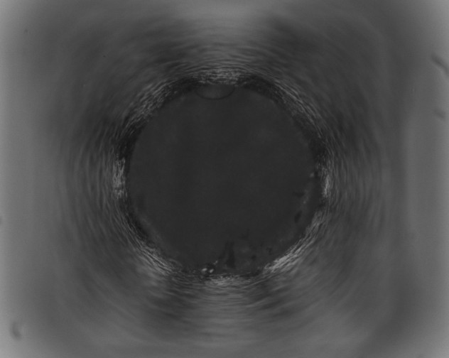 X0000097820818200803281119