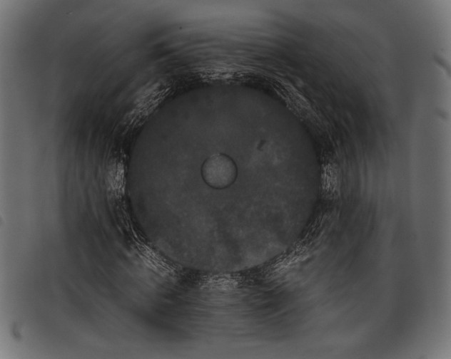 X0000097820820200803281119