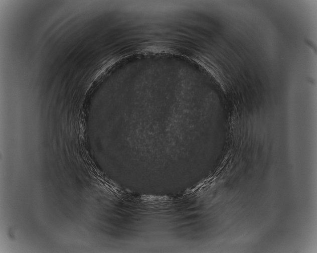 X0000097820823200803281119