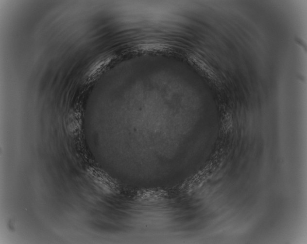 X0000097820824200803281119