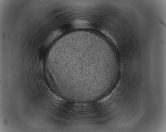 X0000097820825200803281119