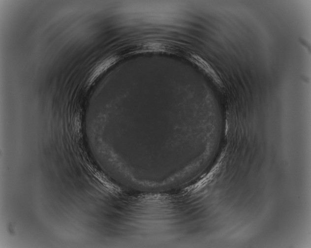 X0000097820826200803281119