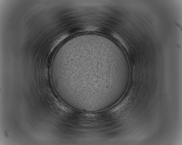 X0000097820827200803281119