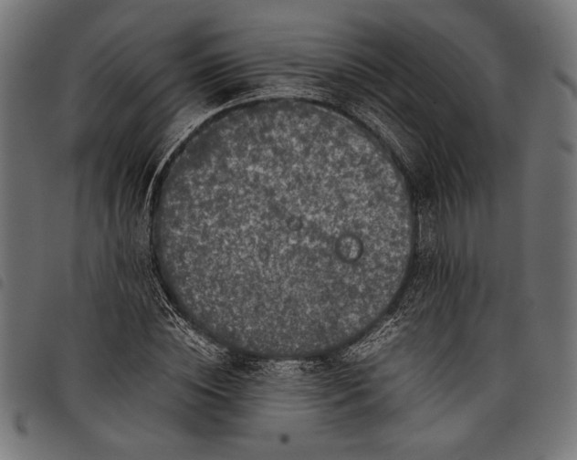 X0000097820828200803281119