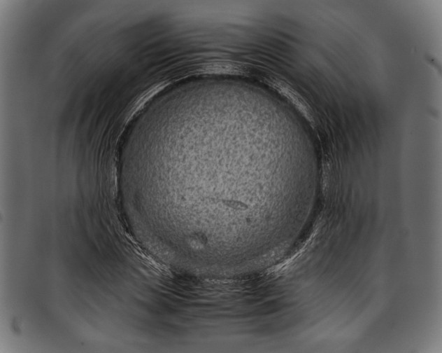 X0000097820829200803281119