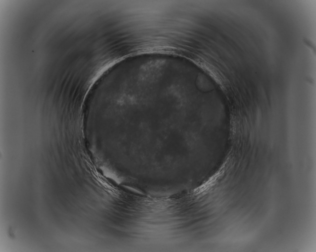 X0000097820830200803281119