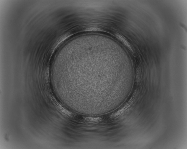 X0000097820831200803281119