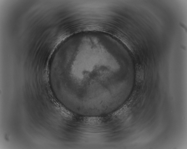 X0000097820832200803281119