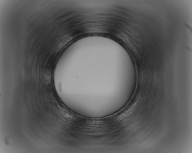 X0000097820833200803281119