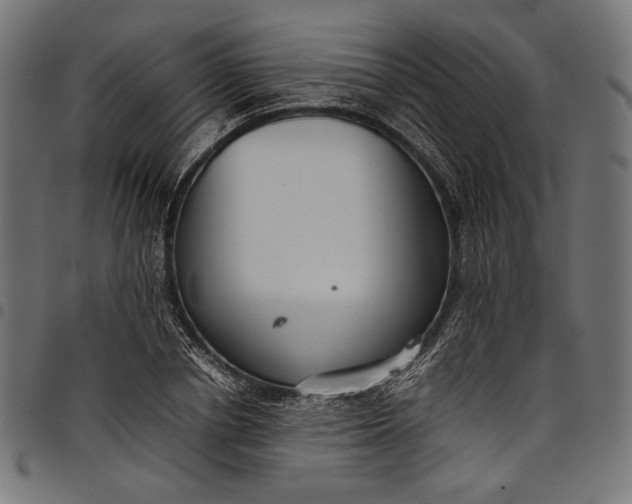 X0000097820834200803281119