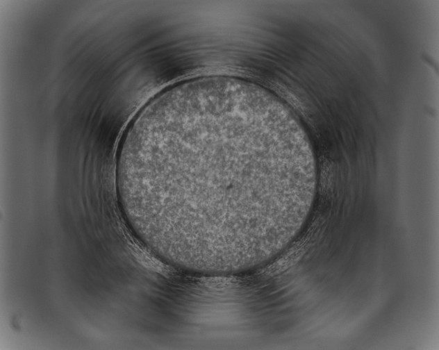 X0000097820836200803281119