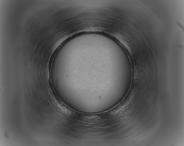 X0000097820837200803281119