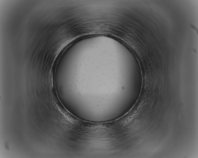 X0000097820838200803281119