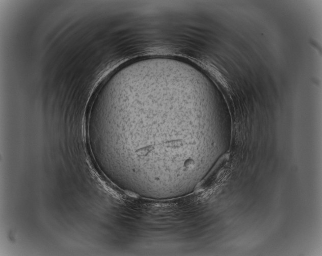 X0000097820839200803281119