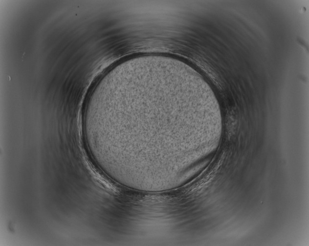 X0000097820840200803281119