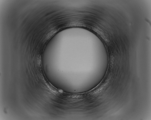 X0000097820841200803281119