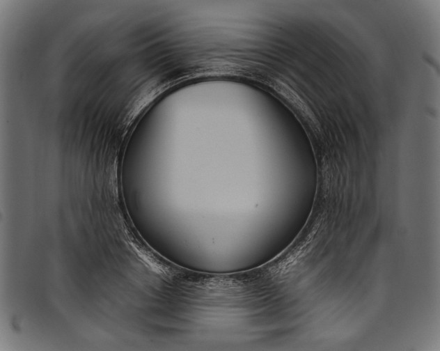 X0000097820842200803281119