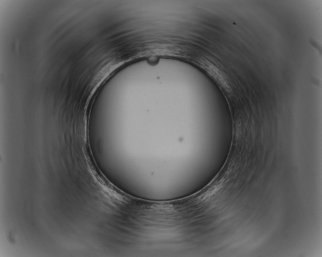 X0000097820844200803281119