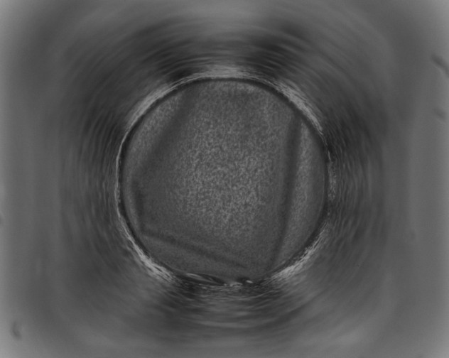 X0000097820845200803281119