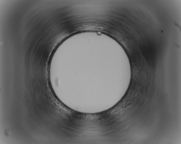 X0000097820848200803281119