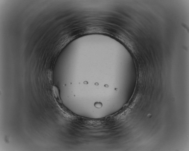 X0000097820849200803281119