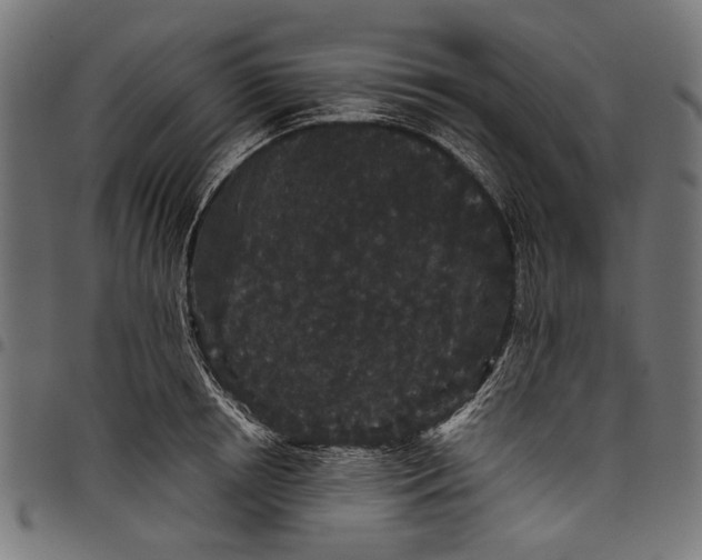 X0000097820850200803281119