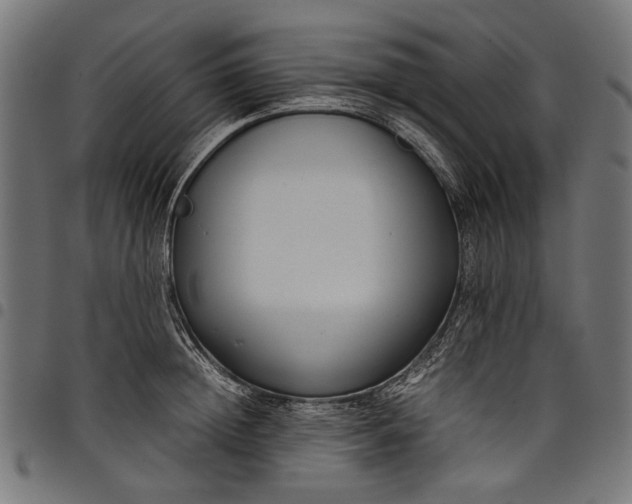 X0000097820852200803281119