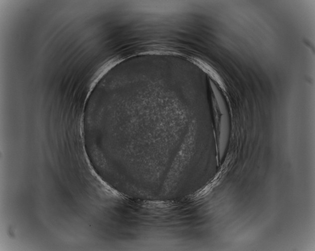 X0000097820855200803281119