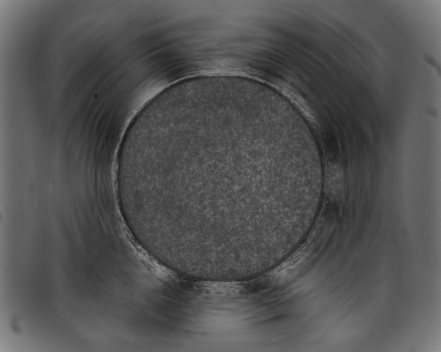 X0000097820856200803281119