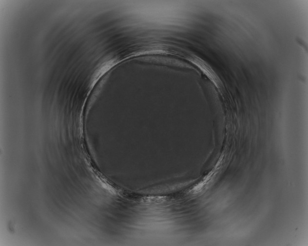 X0000097820858200803281119