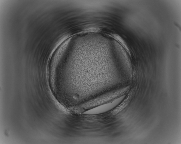 X0000097820859200803281119