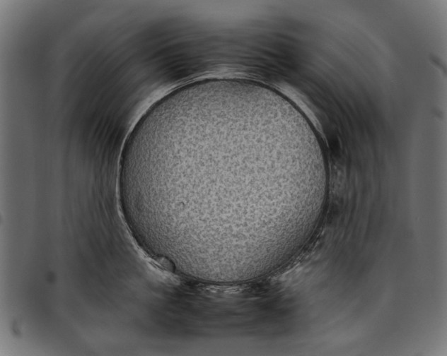 X0000097820861200803281119