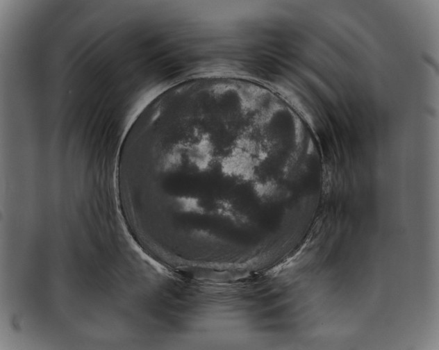 X0000097820863200803281119