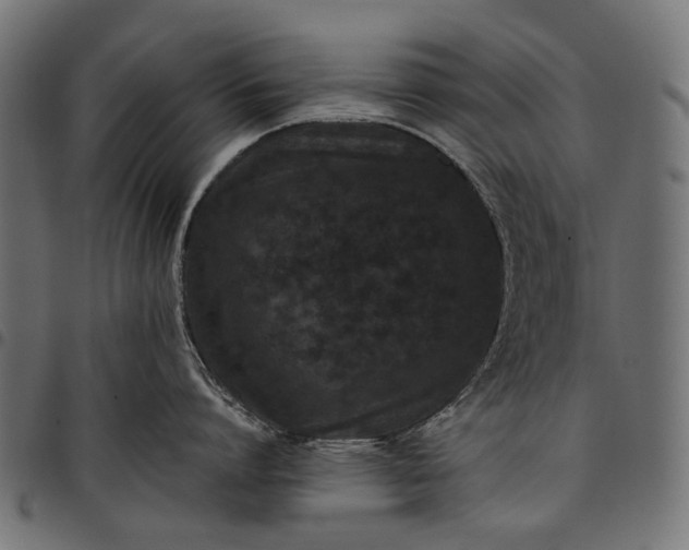 X0000097820864200803281120