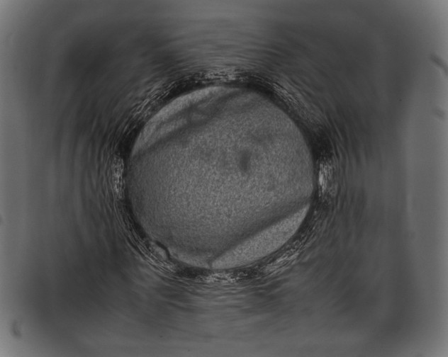 X0000097820867200803281119