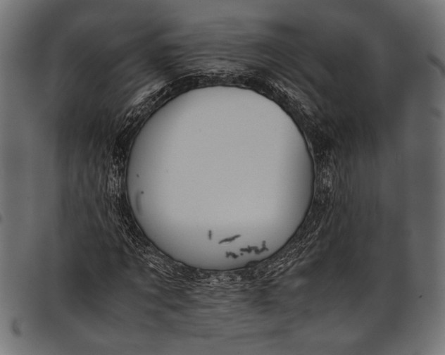 X0000097820869200803281119