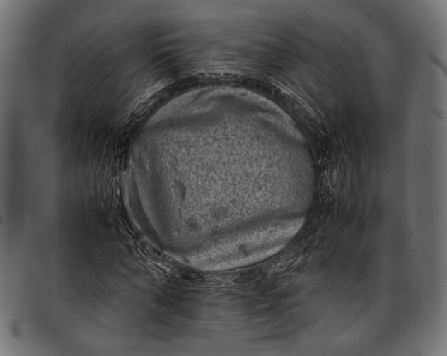 X0000097820870200803281119