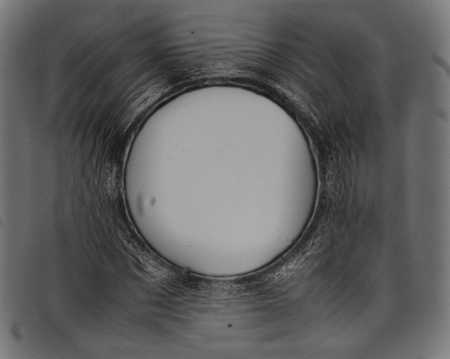 X0000097820873200803281119