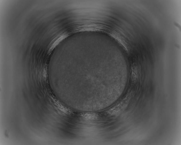 X0000097820874200803281119