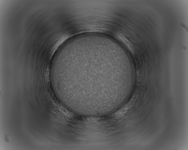 X0000097820875200803281119